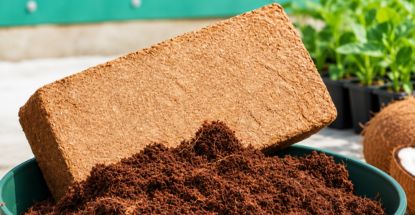 Coco Peat Pith