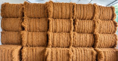 Coir Fiber