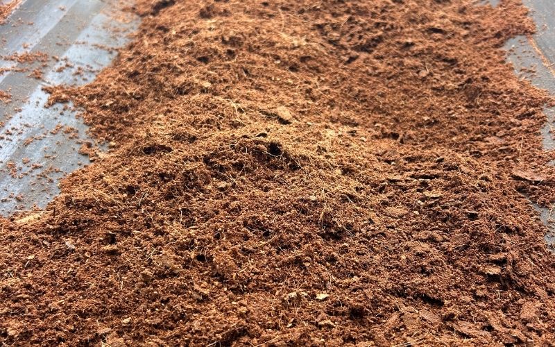 Close-up of coconut coir fibers