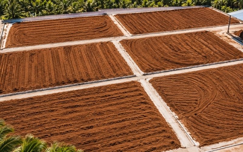 Coir fiber drying process